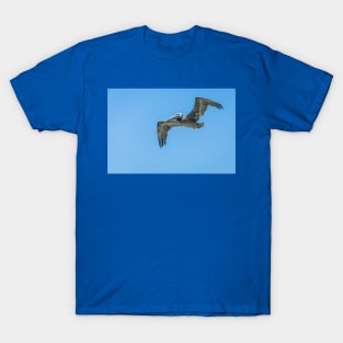 Brown Pelican In Flight at Aruba T-Shirt